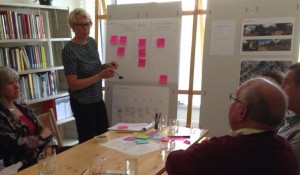 Mediation in new development (2015)